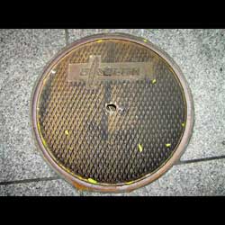 Toronto von Burckart