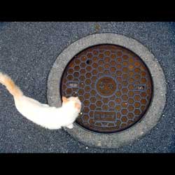 Okinawa von Burkardt