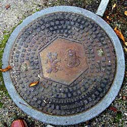 Sellin von Renate Adam