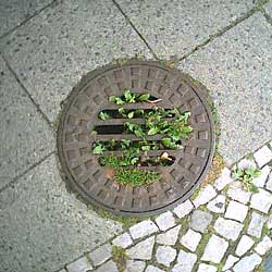  Argentinische Allee von Bernhard