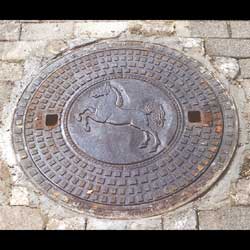  Niedersachsenross von Carsten Corleis