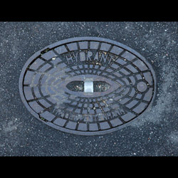 Mannheim von Norbert