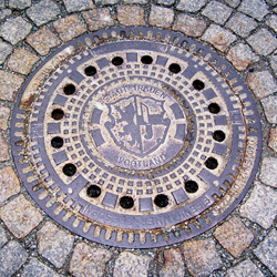 Treuen von Albrecht