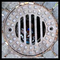 Bonn von Burkardt Stegemann