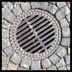 Bonn von Burkardt Stegemann