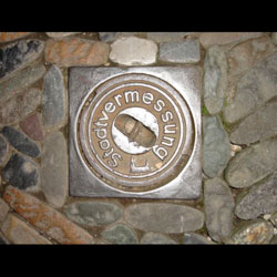 Freiburg von Burckart