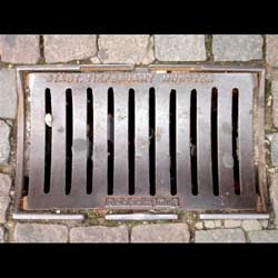 Münster von Burkardt