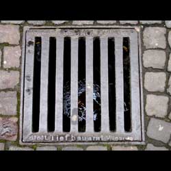 Münster von Burckart