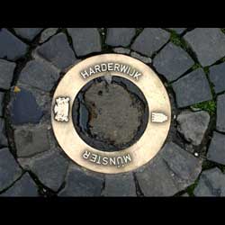 Münster von Burckart